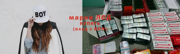 индика Верея
