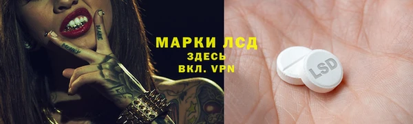 мдпв Володарск