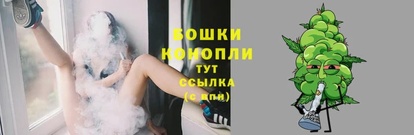 мдпв Володарск
