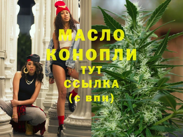 мдпв Володарск