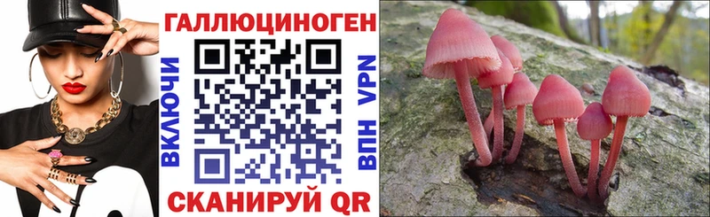Купить  Пенза  Псилоцибиновые грибы ЛСД 